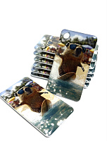 Брелок со смолой "Капибара"